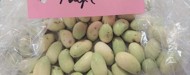 白いオリーブの実