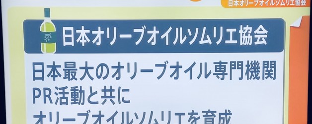 Nスタ（TBS系）取材協力番組が放送されました