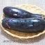 旬の茄子を丸ごと食べよう！栄養編