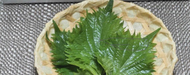 オリーブオイルを食べよう！大葉の栄養と香りで暑い夏を乗り切ろう(栄養編)