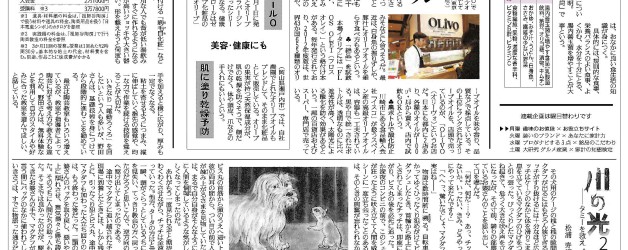 読売新聞【朝刊・全国版】の「家計」欄に記事が掲載されました。